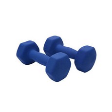 스포홀릭 아령 덤벨 0.5kg 랜덤발송, 2개