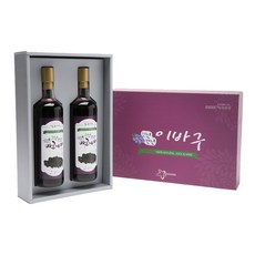 Tguncleajae Ibagu Millennium Aronia 果汁禮品套組, 700毫升, 2個