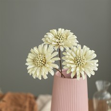 GAPANG 乾花06號 DRYB011, 混色