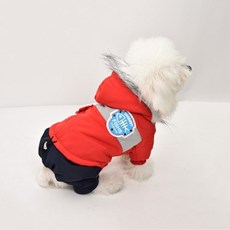 더플로우 겨울산책이 즐거워지는 강아지 캐쥬얼 다운자켓, 레드, 1개