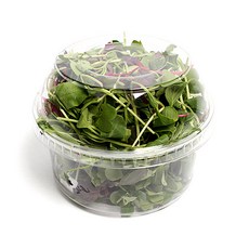 圓形沙拉容器 11.7 x 9.5 x 6.1 cm + 圓頂蓋組, 1個, 50個