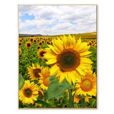 直立安裝型招財向日葵畫框 B款, 亮面金色圓框