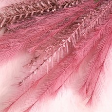 人造花 蒲葦 粉黛亂子草 花 蘆葦 5入, 酒紅色, 5個