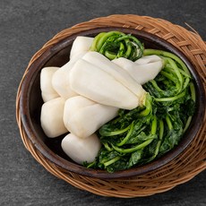 농협 해남 이맑은 절임 알타리, 5kg, 1개