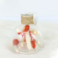 Bluehen 兔尾草燈泡花瓶 + LED燈泡, 橘色