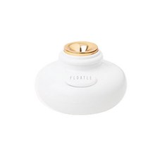 블루필 플로틀 프리미엄 무선 미니가습기, BMH1001(화이트)