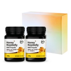 엔플러스 허니 로얄젤리 위드 프로폴리스, 500g, 2개