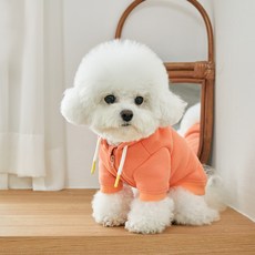 BENNYS 寵物用柔軟刷毛連帽衣, 橘子