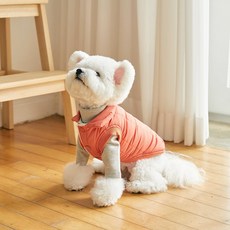 BENNYS 寵物楓葉鋪棉外套, 橘色, 1個