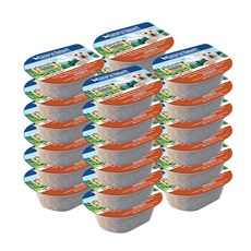 내추럴발란스 GRAIN FREE 참치&칠면조 수제 스튜 도그 포뮬라 주식컵캔, 생선, 78g, 24개