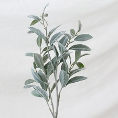 Rams Ear大葉子 G40, 混色, 1個