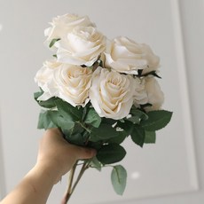 人造玫瑰花叢, 奶油色