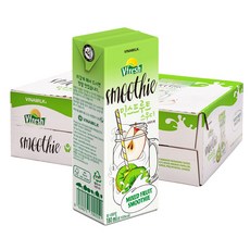 비나밀크 브이프레쉬 믹스 프루트 스무디, 180ml, 48개
