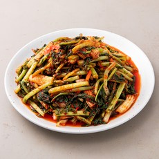 농가식품 열무김치, 5kg, 1개