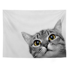 Market A 貓咪印花彩色掛毯, 155 黃眼貓