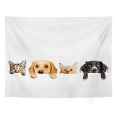 마켓에이 캣프린팅 컬러 태피스트리, 157애니멀