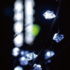 Garden in the City LED 透明冰晶燈泡 30燈 2入組, 透明 + 白色