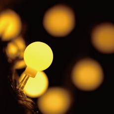 Garden in the City ED圓形燈泡透明燈串 30燈 2入, 透明（線）