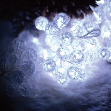 Garden in the City LED 水晶珠燈泡透明 30 燈 2p 套組, 透明+白色