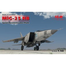 ICM 1:48 MiG-25RB Foxbat偵察型塑膠模型 48902, 1個