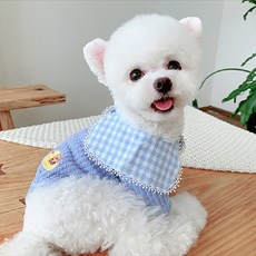 petit dog 格紋領斗篷T恤 DT047, 藍色