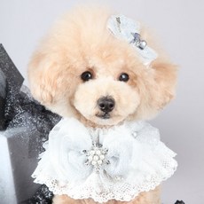 POP PUPPY 寵物狗德魯納披肩 M, 白色, 1個