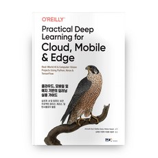 雲端、行動及邊緣深度學習實用指南, DK之路