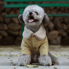 PastelDog 狗狗素色絨毛領鋪棉外套, 黃色