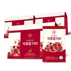 정담 정성을 담은 석류즙 100, 70ml, 90개