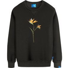 L.LAMO 內刷毛M乾燥花大學T