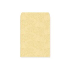 萊妮紙文件信封 米色 245 x 330 mm, A4, 100個