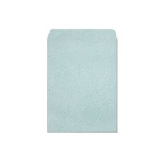 萊妮紙文件信封 天藍色 245 x 330 mm, A4, 100個