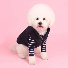 AWESOME KIDZ 狗狗鋪棉背心, navy