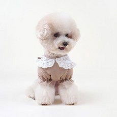 강아지 에이프릴 올인원, 브라운, 1개