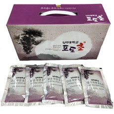 영동대벤처식품 U1대학교 맑은자연 포도초, 100ml, 20개