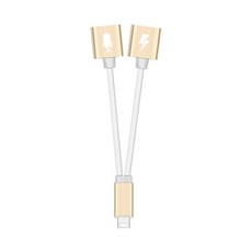 비쉐르 화이트라인 충전 통화 트리플 젠더 AWZ-AT202, 1개