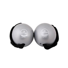 star Sports 軟手舉重球 EU3610 2p, 銀, 1.5公斤