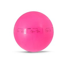 스타스포츠 트레이너 짐볼 EB230-13, 핑크