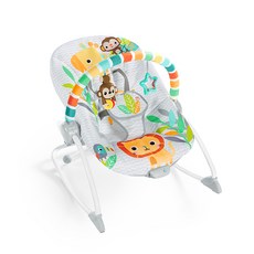 브라이트스타트 락인더 파크 락커 2 아기 바운서, 단일속성, 혼합색상