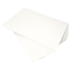 Rinnai/L&P/PASECO/Ecosystem 濾油機濾網 濾紙 325 x 380 mm 100入, 1個