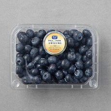 폴앤박 칠레산 유레카 블루베리, 310g, 1개