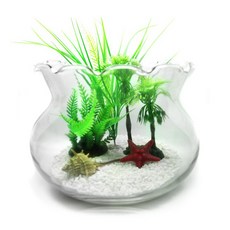 Mimine Garden 新療癒福袋魚缸 200 套組, 混合顏色, 1個