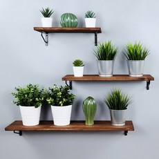 Baskin Plant 31 原木壁架 + 牆壁支架 2個, 炭棕色