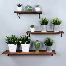 Baskin Plant 31 原木壁架 + 牆壁支架 2個, 炭棕色