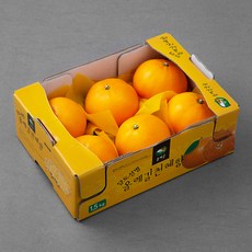 올레길 AI 당도선별 13.5brix 고당도 천혜향, 1.5kg(중과,5~7입), 1박스