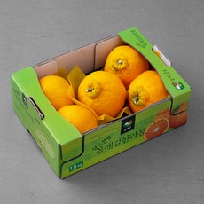 올레길 AI 당도선별 13.5brix 고당도 한라봉, 1.5kg(중과,5~7입), 1박스