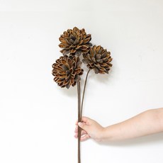 GAPANG 乾花02號, 混色