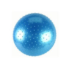프리미엄 마사지 짐볼, 블루