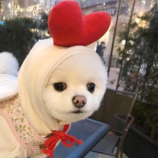 유앤미 반려동물 후드티, 하트, 1개