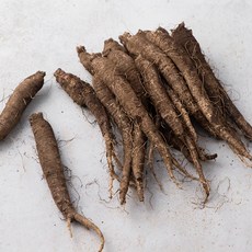 가람농업법인 제주 더덕, 500g, 1봉